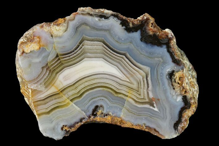 Polished Calandria Agate Nodule Half - Mexico #152638